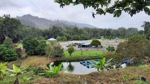 Akademi Memandu Gua Musang Sdn Bhd