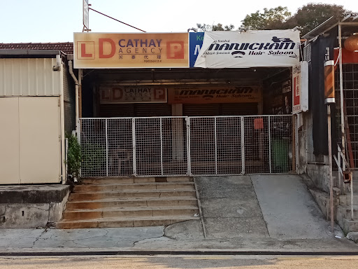 D Cathay Driving School