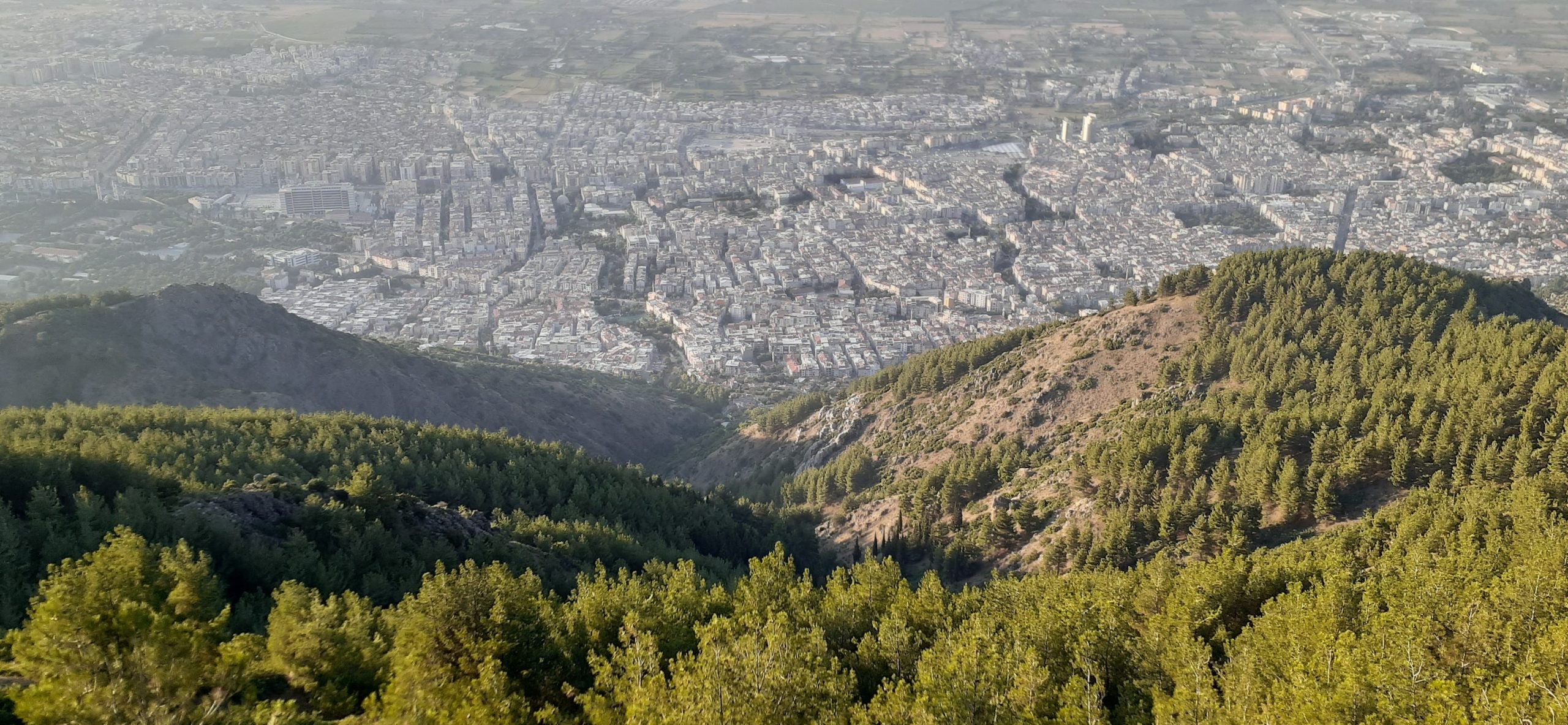 manisa kota enterprise scaled