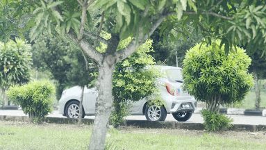 top sprint sdn bhd ashveen kumar